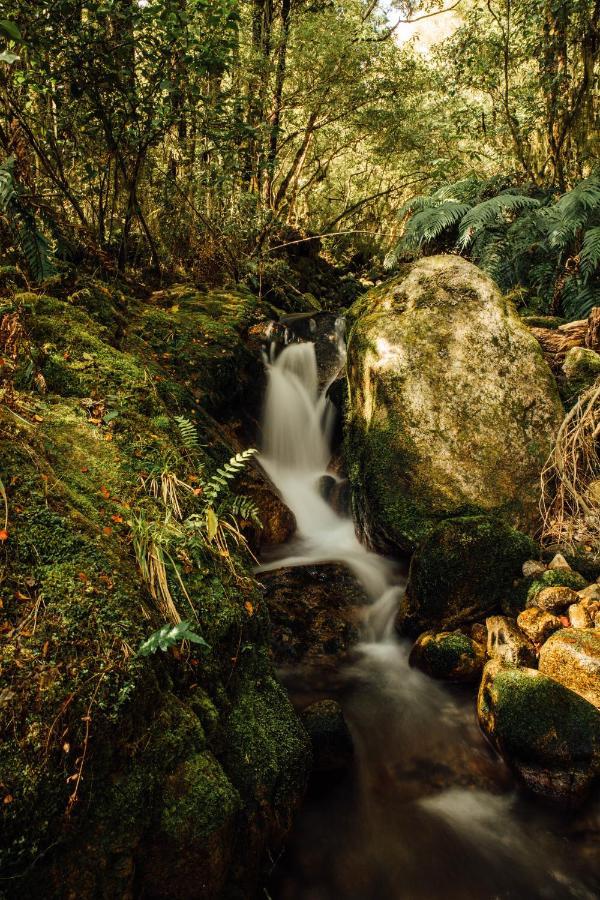 Maruia River Retreat Shenandoah Εξωτερικό φωτογραφία
